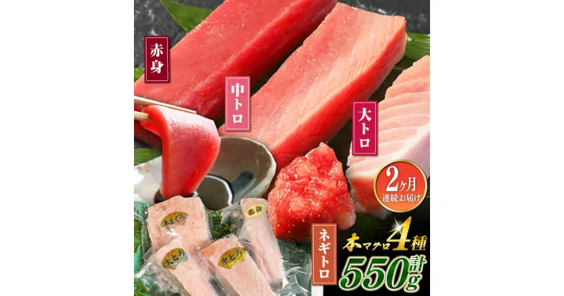 【ふるさと納税】【全2回定期便】対馬産 本マグロ 4種 計550g（赤身/中トロ/大トロ/ネギトロ）《対馬市》【対海】 新鮮 マグロ 鮪 本鮪 赤身 中トロ 大トロ ねぎとろ 海鮮 冷凍[WAH033]