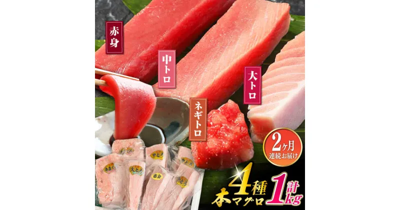 【ふるさと納税】【全2回定期便】対馬産 本マグロ 4種 計1kg（赤身/中トロ/大トロ/ネギトロ）《対馬市》【対海】 新鮮 マグロ 鮪 本鮪 赤身 中トロ 大トロ ネギトロ 海鮮 冷凍[WAH030]