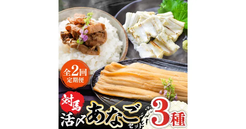 【ふるさと納税】【全2回定期便】対馬 産 活〆 あなご セット《対馬市》【対馬地域商社】九州 長崎 煮あなご 佃煮 アナゴ[WAC053]