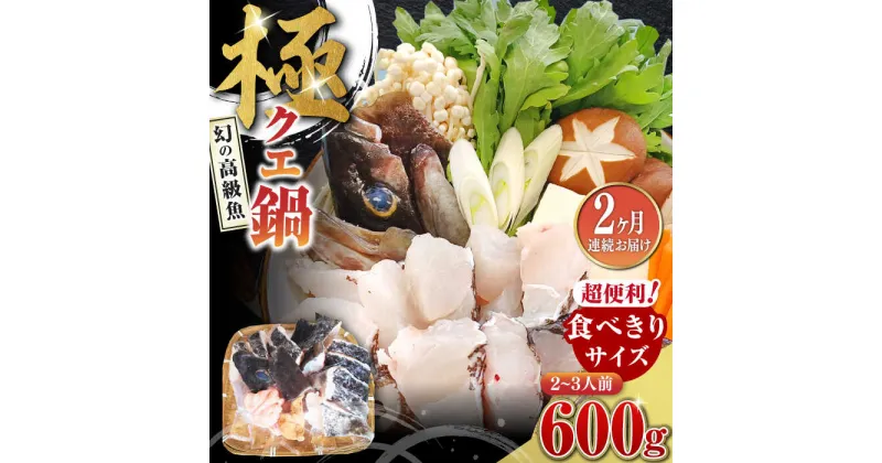 【ふるさと納税】【全2回定期便】対馬 産 クエ 鍋 セット 600g (2〜3人前)《対馬市》【対馬地域商社】九州 長崎 海鮮[WAC056] 33000 33000円