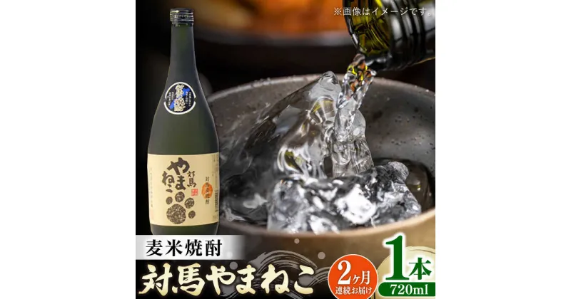 【ふるさと納税】【全2回定期便】麦米焼酎 対馬やまねこ 25度 720ml 2本セット《対馬市》【株式会社サイキ】対馬 酒 贈り物 米焼酎 プレゼント 焼酎[WAX050]