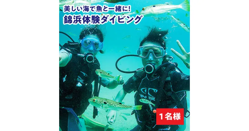 【ふるさと納税】ダイビング 体験 錦浜 《壱岐市》【シーガルイン】[JAB002] 旅行/海/アウトドア/ダイビング 33000 33000円 のし プレゼント ギフト