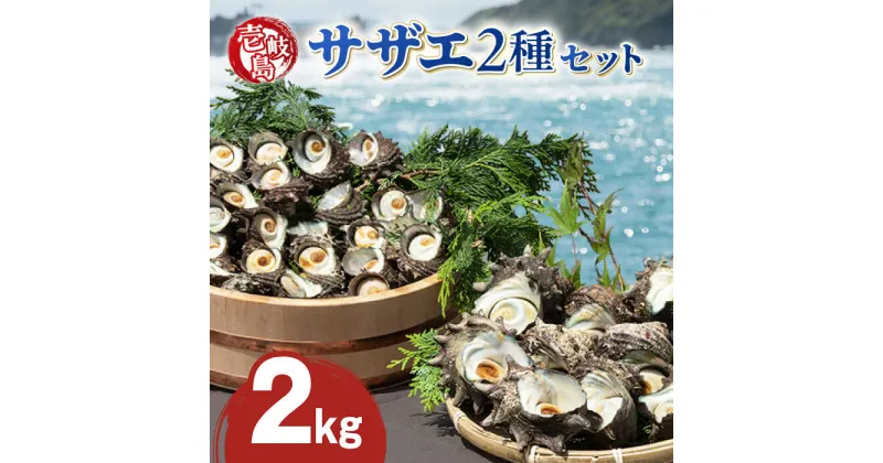 【ふるさと納税】壱岐島 サザエ 2種セット 合計約2kg 《壱岐市》【マルショウ水産】[JBB002] 24000 24000円 お刺身 産地直送 冷蔵配送 サザエ さざえ 栄螺 つぼ焼き 冷蔵 生 刺身 BBQ