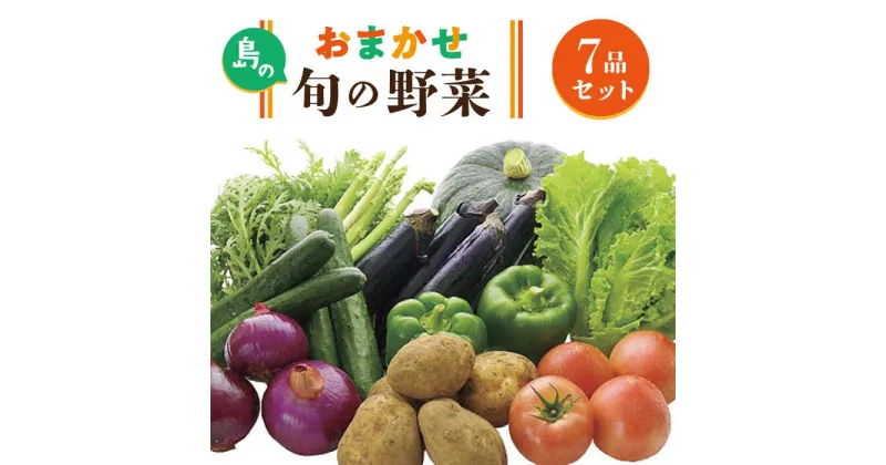 【ふるさと納税】旬の野菜 7品セット 《壱岐市》【壱岐市農業協同組合】[JBO001] 野菜 ベジタブル 食材 詰め合わせ 産地直送 野菜セット グルメ 春 夏 秋 冬 旬 サラダ 冷蔵 夏野菜 スムージー 9000 9000円 冷蔵配送