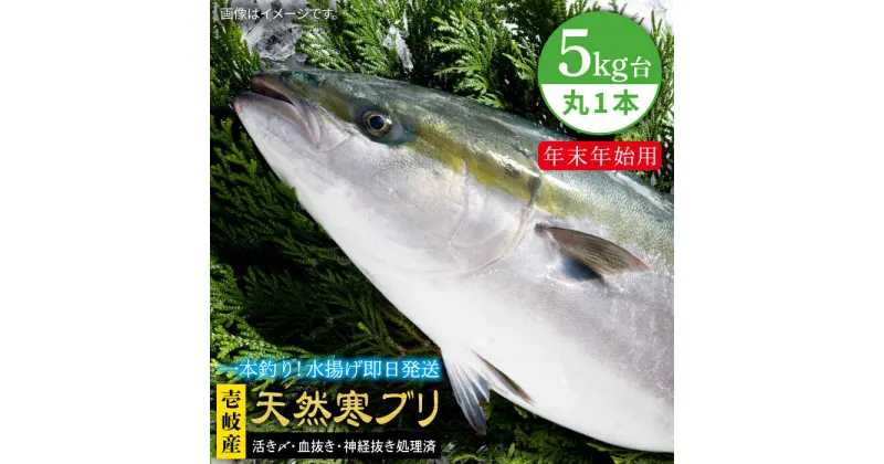 【ふるさと納税】【11/1～1/15お届け 年末年始用】天然 寒ブリ（5キロ台・丸もの） 《壱岐市》【壱岐島　玄海屋】[JBS015] ぶり 寒ぶり ブリ 魚 刺身 しゃぶしゃぶ 85000 85000円 のし プレゼント ギフト 冷蔵配送