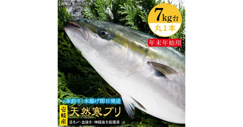 【ふるさと納税】【11/1～1/15お届け 年末年始用】天然 寒ブリ（7キロ台・丸もの） 《壱岐市》【壱岐島　玄海屋】[JBS016] ぶり 寒ぶり ブリ 魚 刺身 しゃぶしゃぶ 140000 140000円 14万 のし プレゼント ギフト 冷蔵配送