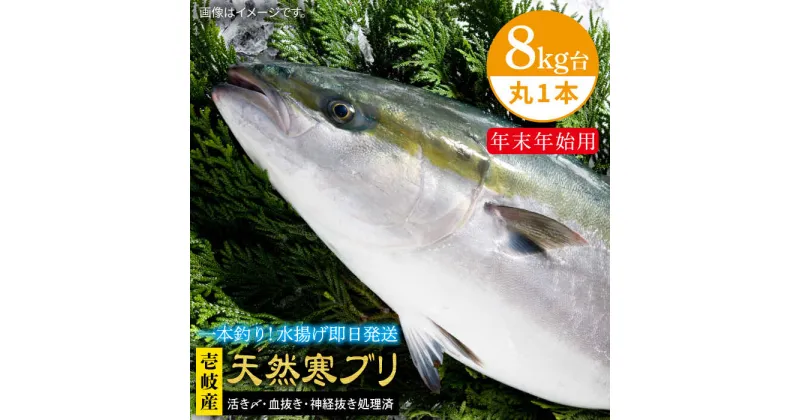 【ふるさと納税】【11/1～1/15お届け 年末年始用】天然 寒ブリ（8キロ台・丸もの） 《壱岐市》【壱岐島　玄海屋】[JBS017] ぶり 寒ぶり ブリ 魚 刺身 しゃぶしゃぶ 190000 190000円 19万 のし プレゼント ギフト 冷蔵配送