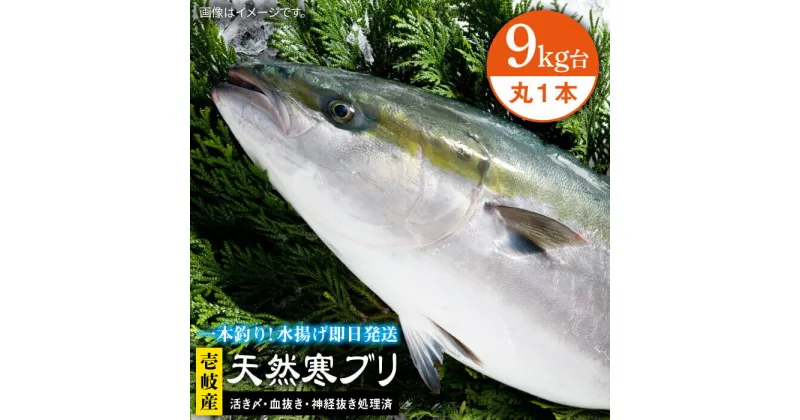 【ふるさと納税】壱岐島産天然寒ブリ（9キロ台・丸もの） 《壱岐市》【壱岐島　玄海屋】[JBS027] ぶり 寒ぶり ブリ 魚 刺身 しゃぶしゃぶ 105000 105000円 のし プレゼント ギフト 冷蔵配送