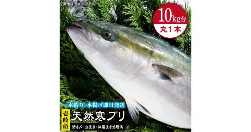 【ふるさと納税】壱岐島産天然寒ブリ（10キロ台・丸もの） 《壱岐市》【壱岐島　玄海屋】[JBS028] ぶり 寒ぶり ブリ 魚 刺身 しゃぶしゃぶ 122000 122000円 のし プレゼント ギフト 冷蔵配送