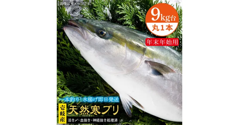 【ふるさと納税】【11/1～1/15お届け 年末年始用】天然 寒ブリ（9キロ台・丸もの） 《壱岐市》【壱岐島　玄海屋】[JBS033] ぶり 寒ぶり ブリ 魚 刺身 しゃぶしゃぶ 240000 240000円 24万 のし プレゼント ギフト 冷蔵配送