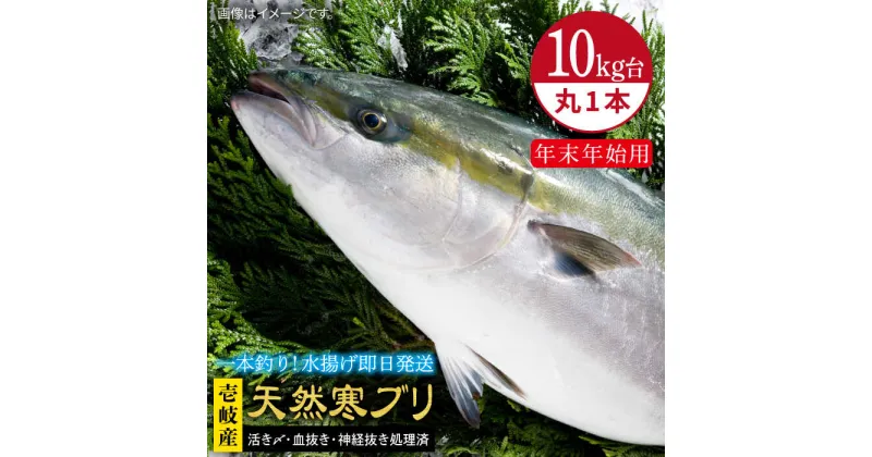 【ふるさと納税】【11/1～1/15お届け 年末年始用】天然 寒ブリ（10キロ台・丸もの） 《壱岐市》【壱岐島　玄海屋】[JBS034] ぶり 寒ぶり ブリ 魚 刺身 しゃぶしゃぶ 300000 300000円 30万 のし プレゼント ギフト 冷蔵配送