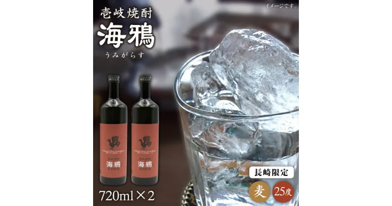 【ふるさと納税】麦焼酎 海鴉 720ml×2本（25度）《壱岐市》【天下御免】[JDB034] 焼酎 壱岐焼酎 むぎ焼酎 本格焼酎 お酒 熟成 ギフト プレゼント 地酒 飲み比べ セット 15000 15000円