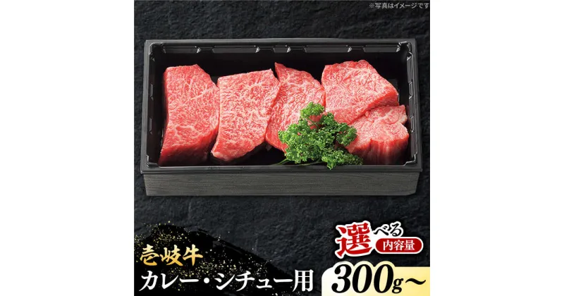 【ふるさと納税】 特選 壱岐牛 すね肉 300g / 500g（カレー・シチュー・煮込み料理）【選べる内容量】《壱岐市》【太陽商事】 [JDL019] 冷凍配送 黒毛和牛 A5ランク 肉 牛肉 赤身 すね肉 ブロック肉 赤身 カレー シチュー ビーフシチュー ギフト