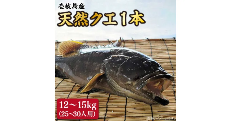 【ふるさと納税】【9月～翌年1月限定】 天然クエ 丸もの 12～15kg（ 鍋・刺身：約25～30人前） 《壱岐市》【丸和水産】[JCJ012] クエ くえ 冷蔵 直送 海鮮 鮮魚 刺身 刺し身 お刺身 クエ鍋 くえ鍋 1本 1匹 高級魚 600000 600000円 60万円 冷蔵配送