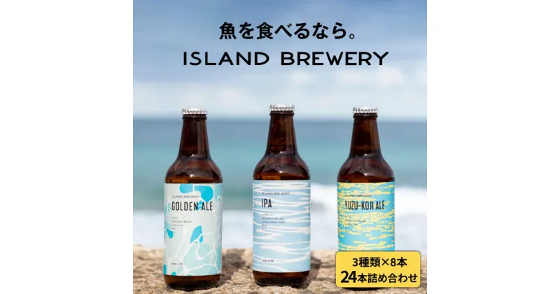 【ふるさと納税】クラフトビール 24本詰め合わせ（3種類×8本）【ISLAND BREWERY】 [JED008] ビール お酒 飲み比べ セット 瓶ビール 飲みくらべ 62000 62000円 のし プレゼント ギフト お歳暮 冷蔵配送