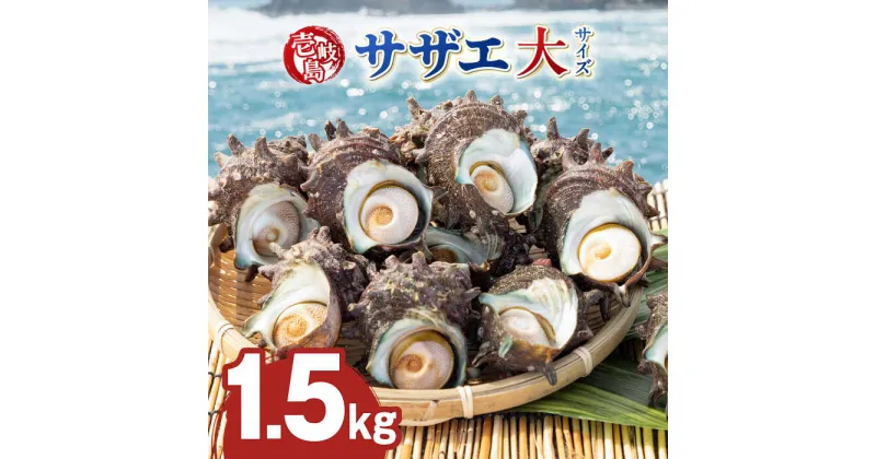 【ふるさと納税】壱岐島 サザエ（大） 合計約1.5kg 《壱岐市》【マルショウ水産】[JBB004] 16000 16000円 お刺身 産地直送 冷蔵配送 サザエ さざえ 栄螺 つぼ焼き 冷蔵 生 刺身 BBQ