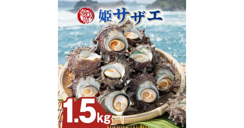 【ふるさと納税】壱岐島 姫サザエ 合計約1.5kg 《壱岐市》【マルショウ水産】[JBB005] 16000 16000円 お刺身 産地直送 冷蔵配送 サザエ さざえ 栄螺 つぼ焼き 冷蔵 生 刺身 BBQ