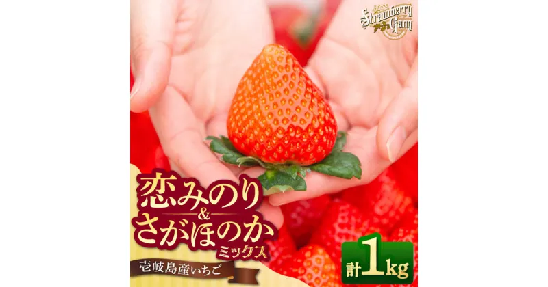 【ふるさと納税】【先行予約】恋みのり・さがほのか 約250g×4パック《壱岐市》【Strawberry Gang】 [JEM001] セット イチゴ 苺 定期便 食べ比べ 果物 フルーツ スムージー 14000 14000円 冷蔵配送