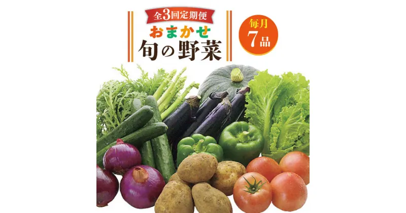 【ふるさと納税】【全3回定期便】旬の野菜 7品《壱岐市》【壱岐市農業協同組合】 [JBO044] 野菜 やさい 旬 季節 セット 詰め合わせ 産地直送 新鮮 サラダ スムージー 定期便 27000 27000円 冷蔵配送