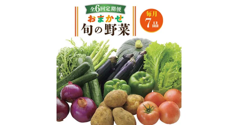 【ふるさと納税】【全6回定期便】旬の野菜セット 7品 《壱岐市》【壱岐市農業協同組合】[JBO045] 野菜 ベジタブル 食材 詰め合わせ 産地直送 野菜セット グルメ 春 夏 秋 冬 旬 サラダ 冷蔵 夏野菜 スムージー 定期便 54000 54000円 冷蔵配送