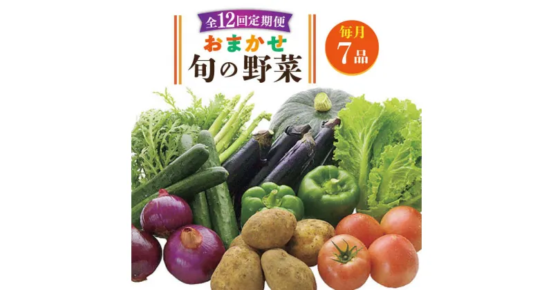 【ふるさと納税】【全12回定期便】旬の野菜セット 7品《壱岐市》【壱岐市農業協同組合】 [JBO046] 野菜 ベジタブル 食材 詰め合わせ 産地直送 野菜セット グルメ 春 夏 秋 冬 旬 サラダ 冷蔵 夏野菜 スムージー 定期便 108000 108000円 冷蔵配送