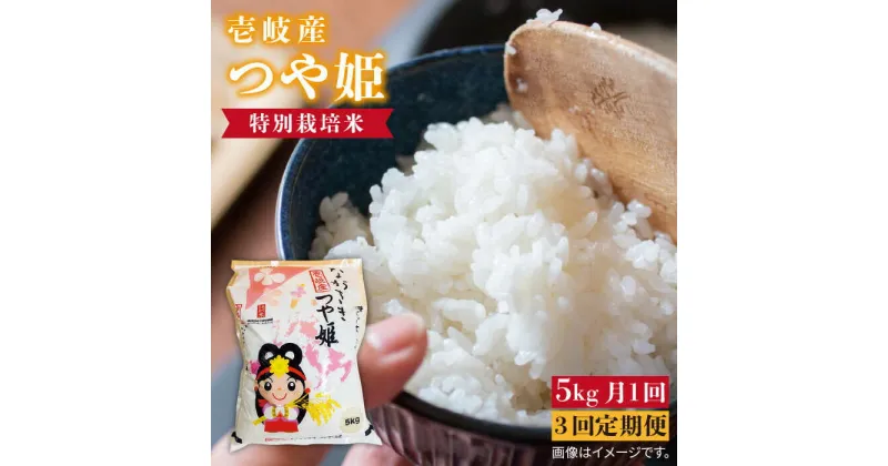 【ふるさと納税】【全3回定期便】壱岐産 つや姫 5kg《壱岐市》【壱岐市農業協同組合】 [JBO056] 米 お米 白米 ご飯 ごはん 5キロ お弁当 朝食 定期便 36000 36000円