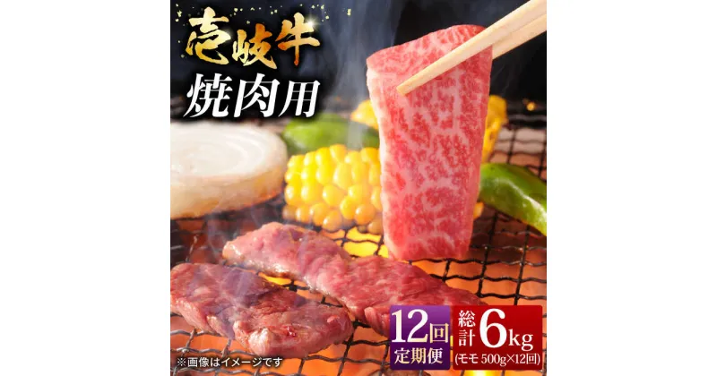 【ふるさと納税】【全12回定期便】壱岐牛焼き肉セット 500g [JCG056] 冷凍配送 黒毛和牛 A5ランク 黒毛和牛 和牛 壱岐牛 モモ 焼き肉 焼肉 モモ 赤身 焼肉用 228000 228000円