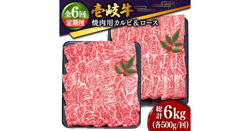 【ふるさと納税】【全6回定期便】 壱岐牛 焼肉セット（ロース500g・カルビ500g） [JDD016] 冷凍配送 黒毛和牛 A5ランク 肉 牛肉 和牛 赤身 ロース カルビ 焼肉 セット 食べ比べ BBQ 焼肉用 300000 300000円 30万円