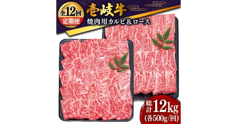 【ふるさと納税】【全12回定期便】 壱岐牛 焼肉セット（ロース500g・カルビ500g） [JDD017] 冷凍配送 黒毛和牛 A5ランク 肉 牛肉 和牛 赤身 ロース カルビ 焼肉 セット 食べ比べ BBQ 焼肉用 600000 600000円 60万円