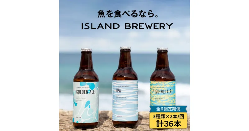 【ふるさと納税】【全6回定期便】クラフトビール 6本詰め合わせ（3種類×2本）【ISLAND BREWERY】 [JED019] ビール お酒 飲み比べ セット 瓶ビール 飲みくらべ 102000 102000円 冷蔵配送