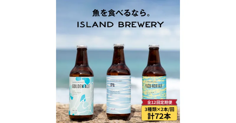 【ふるさと納税】【全12回定期便】クラフトビール 6本詰め合わせ（3種類×2本）【ISLAND BREWERY】 [JED020] ビール お酒 飲み比べ セット 瓶ビール 飲みくらべ 192000 192000円 冷蔵配送