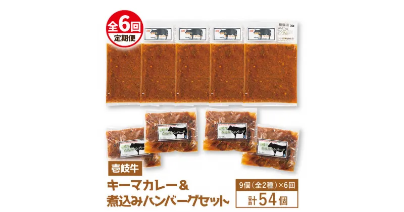 【ふるさと納税】【全6回定期便】壱岐牛煮込みハンバーグ・キーマカレーセット[JBW021] 210000 210000円 21万円 冷凍配送