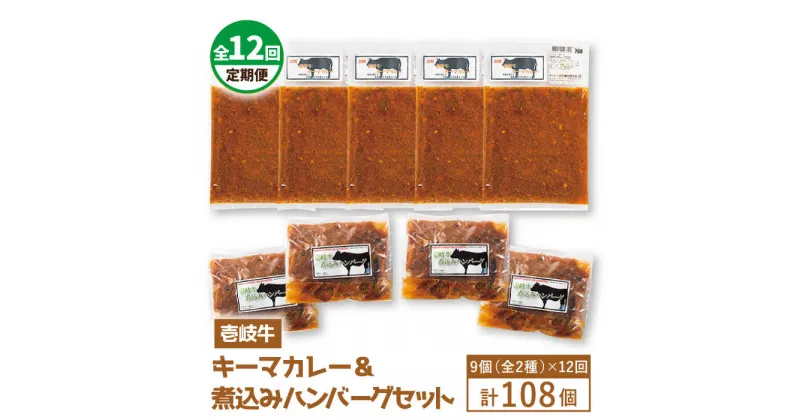 【ふるさと納税】【全12回定期便】壱岐牛煮込みハンバーグ・キーマカレーセット[JBW022] 420000 420000円 42万円 冷凍配送