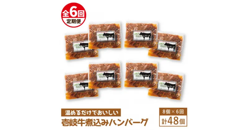 【ふるさと納税】【全6回定期便】壱岐牛煮込みハンバーグ[JBW024] 210000 210000円 21万円 冷凍配送