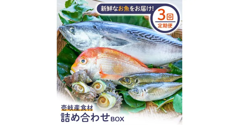 【ふるさと納税】【全3回定期便】壱岐産食材詰め合わせBOX「魚」[JBF021] 詰め合わせ セット 魚 鮮魚 66000 66000円 6万円 冷蔵配送