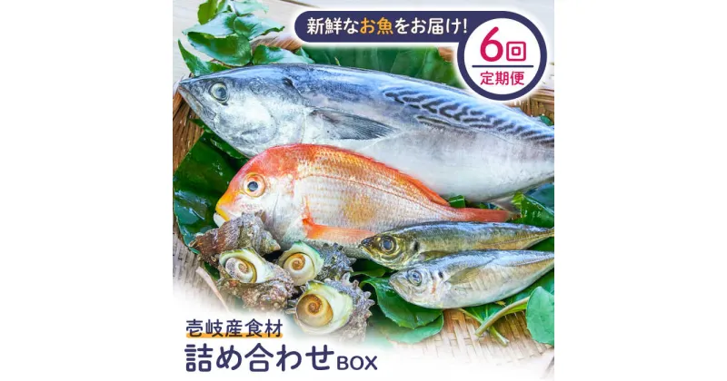 【ふるさと納税】【全6回定期便】壱岐産食材詰め合わせBOX「魚」[JBF022] 詰め合わせ セット 魚 鮮魚 132000 132000円 12万円 冷蔵配送