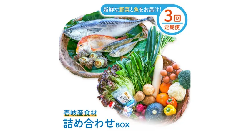 【ふるさと納税】【全3回定期便】壱岐産食材詰め合わせBOX「野菜と魚」[JBF024] 詰め合わせ 野菜 卵 鮮魚 セット 123000 123000円 12万円 冷蔵配送