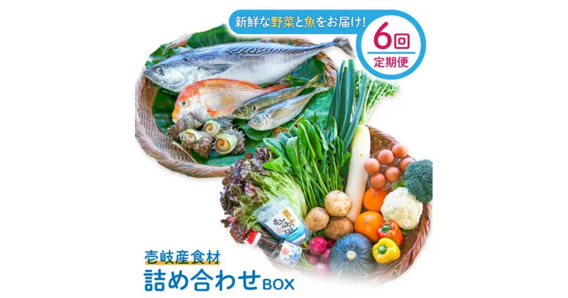 【ふるさと納税】【全6回定期便】壱岐産食材詰め合わせBOX「野菜と魚」[JBF025] 詰め合わせ 野菜 卵 鮮魚 セット 246000 246000円 24万円 冷蔵配送