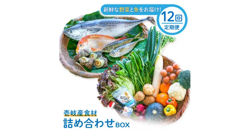 【ふるさと納税】【全12回定期便】壱岐産食材詰め合わせBOX「野菜と魚」[JBF026] 詰め合わせ 野菜 卵 鮮魚 セット 492000 492000円 48万円 冷蔵配送