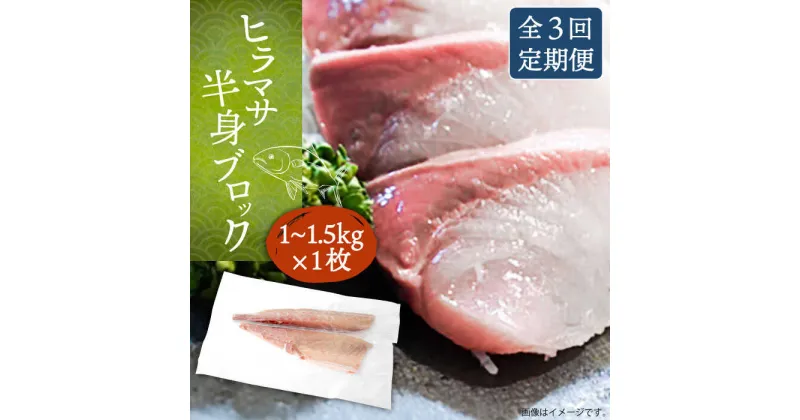 【ふるさと納税】【全3回定期便】ヒラマサフィレ 約1〜1.5kg（半身）《壱岐市》【なかはら】[JDT039] ヒラマサ フィレ 柵 刺身 刺身ブロック 刺し身 切身 冷凍 海鮮 海鮮丼 75000 75000円 冷凍配送