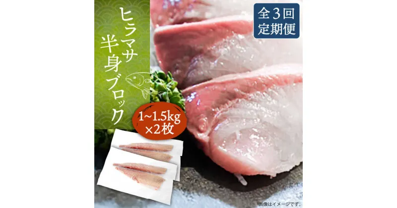 【ふるさと納税】【全3回定期便】ヒラマサフィレ 約2〜3kg（1尾）《壱岐市》【なかはら】[JDT042] ヒラマサ フィレ 柵 刺身 刺身ブロック 刺し身 切身 冷凍 海鮮 海鮮丼 134000 134000円 冷凍配送