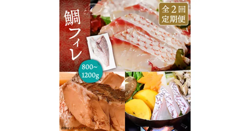 【ふるさと納税】【全2回定期便】鯛フィレ 約800〜1200g（1尾・2kg台）《壱岐市》【なかはら】 [JDT068] タイ 鯛 フィレ 柵 刺身 刺身ブロック 刺し身 切身 冷凍 海鮮 海鮮丼 定期便 50000 50000円 冷凍配送