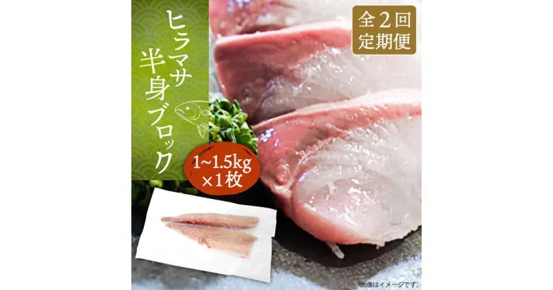 【ふるさと納税】【全2回定期便】ヒラマサフィレ 約1〜1.5kg（半身）《壱岐市》【なかはら】[JDT070] ヒラマサ フィレ 柵 刺身 刺身ブロック 刺し身 切身 冷凍 海鮮 海鮮丼 50000 50000円 冷凍配送