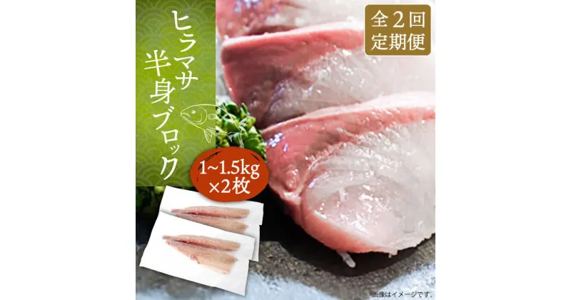 【ふるさと納税】【全2回定期便】ヒラマサフィレ 約2〜3kg（1尾）《壱岐市》【なかはら】[JDT071] ヒラマサ フィレ 柵 刺身 刺身ブロック 刺し身 切身 冷凍 海鮮 海鮮丼 90000 90000円 冷凍配送