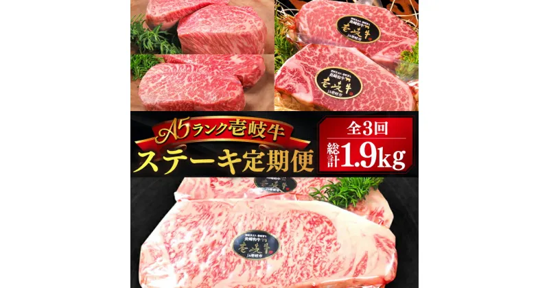 【ふるさと納税】【全3回定期便】極上 壱岐牛 A5ランク ステーキ定期便《壱岐市》【KRAZY MEAT】[JER049] 冷凍配送 黒毛和牛 A5ランク ステーキ 赤身 厚切り 牛肉 肉 A5 サーロイン サーロインステーキ ヒレ ヒレステーキ シャトーブリアン 164000 164000円