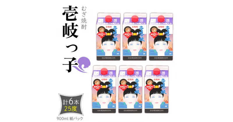 【ふるさと納税】麦焼酎 壱岐っ娘 25度 900ml 紙パック 計6本 《壱岐市》【天下御免】 むぎ焼酎 焼酎 麦 酒 お酒 [JDB348] 23000 23000円 のし プレゼント ギフト