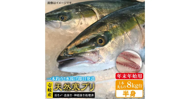 【ふるさと納税】【11/1～1/15お届け 年末年始用】壱岐島産天然寒ブリ（一本丸ものサイズ8キロ台 半身ブロック）《壱岐市》【壱岐島 玄海屋】 [JBS103] ぶり 寒ぶり ブリ 魚 刺身 しゃぶしゃぶ 117000 117000円 のし プレゼント ギフト 冷蔵配送