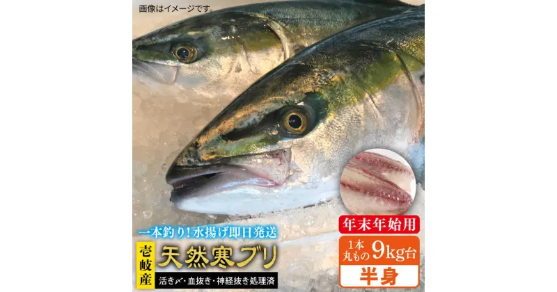 【ふるさと納税】【11/1～1/15お届け 年末年始用】壱岐島産天然寒ブリ（一本丸ものサイズ9キロ台 半身ブロック）《壱岐市》【壱岐島 玄海屋】 [JBS104] ぶり 寒ぶり ブリ 魚 刺身 しゃぶしゃぶ 143000 143000円 のし プレゼント ギフト 冷蔵配送