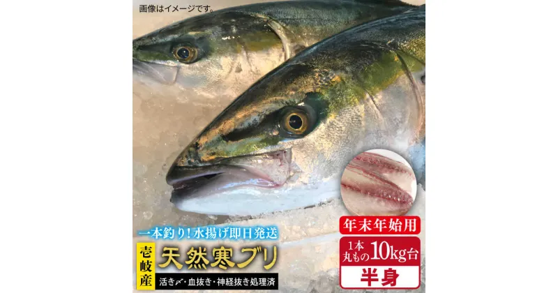 【ふるさと納税】【11/1～1/15お届け 年末年始用】壱岐島産天然寒ブリ（一本丸ものサイズ10キロ台 半身ブロック）《壱岐市》【壱岐島 玄海屋】 [JBS105] ぶり 寒ぶり ブリ 魚 刺身 しゃぶしゃぶ 172000 172000円 のし プレゼント ギフト 冷蔵配送