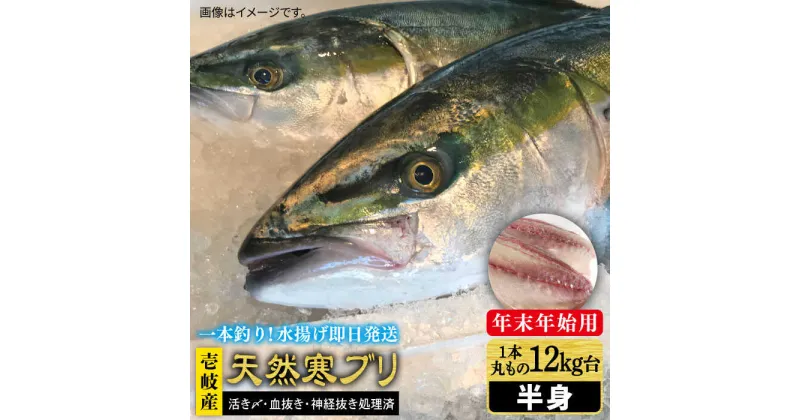 【ふるさと納税】【11/1～1/15お届け 年末年始用】壱岐島産天然寒ブリ（一本丸ものサイズ12キロ台 半身ブロック）《壱岐市》【壱岐島 玄海屋】 [JBS107] ぶり 寒ぶり ブリ 魚 刺身 しゃぶしゃぶ 222000 222000円 のし プレゼント ギフト 冷蔵配送